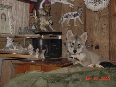 2000-01-22-2000-01-22-001-003